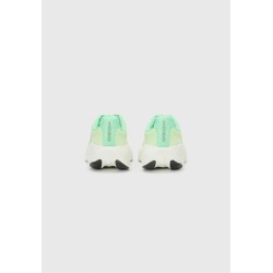 New Balance FRESH FOAM X 1080 V14 Chaussures de running sur route sweetgrass